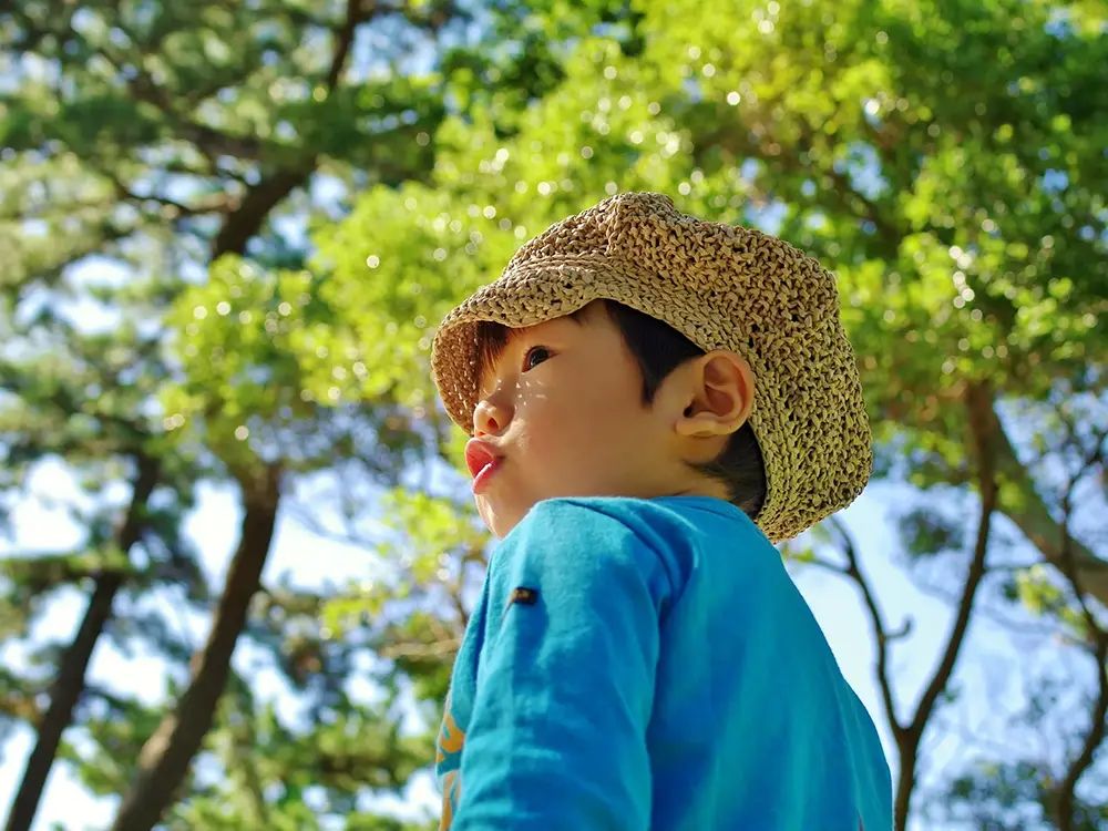 新緑の中で口笛を吹く男の子の画像