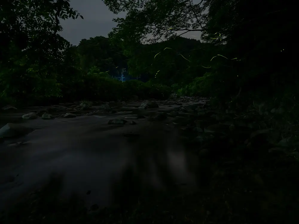 田舎の夜のとっぷり暮れた画像