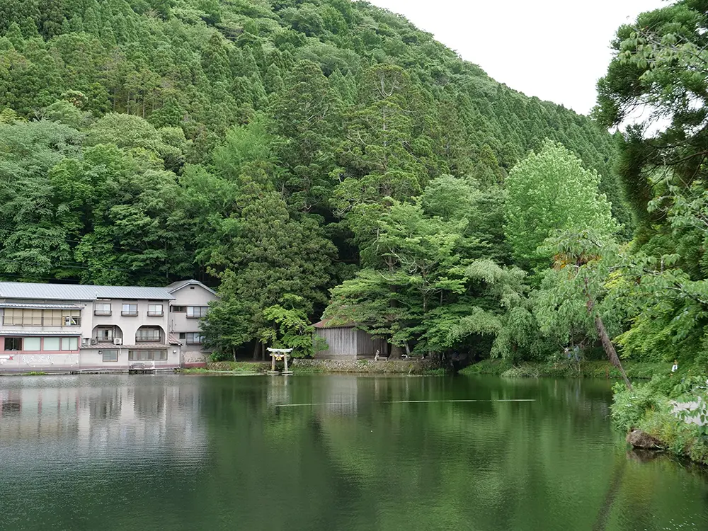 緑の山々の囲まれた金鱗湖の画像