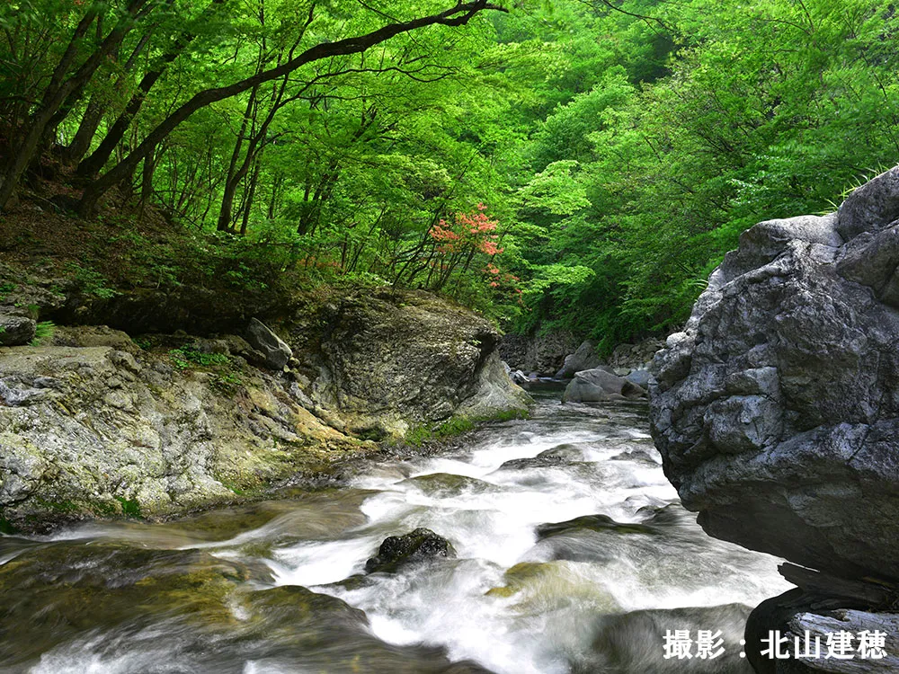 庚申川の渓流の涼やかな画像