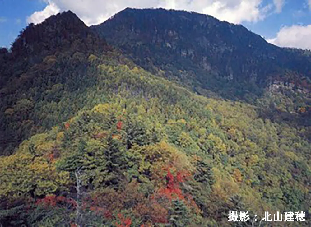 足尾の山々の画像