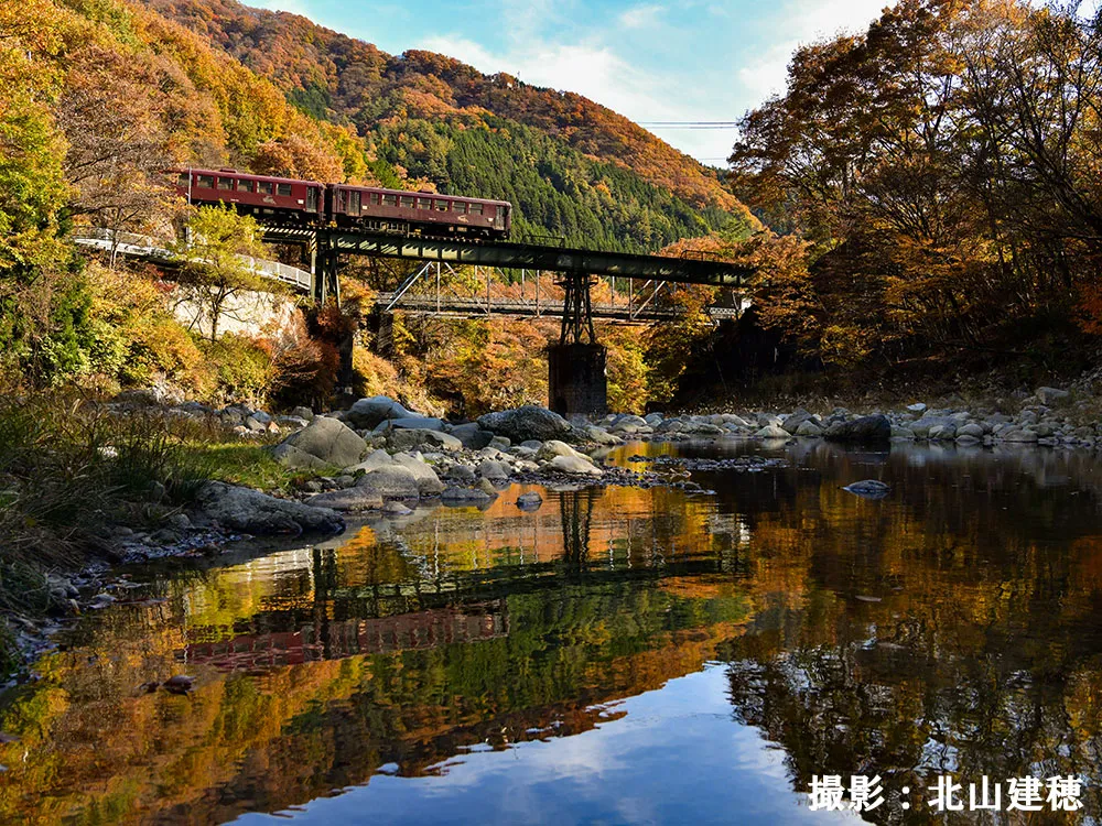 わたらせ渓谷鐵道をゆく列車と紅葉の渓谷の画像