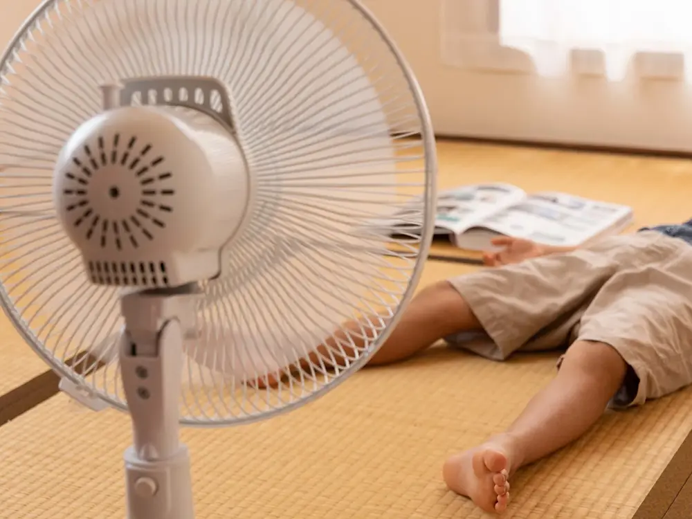 畳の部屋で扇風機にあたりながら昼寝している小学生男子の足の画像