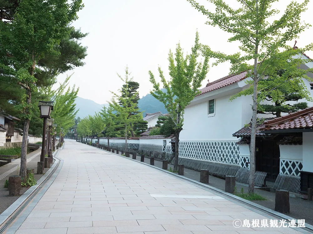 津和野町殿町通りの画像