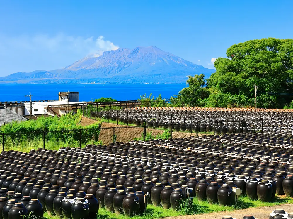 鹿児島の桜島と黒酢を発酵させている壺が並んでいる様子の画像