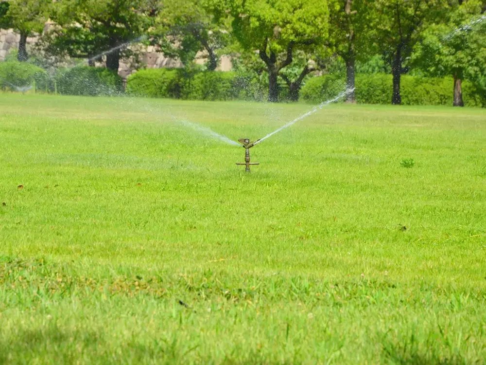  スプリンクラーで芝生に水をまいている画像