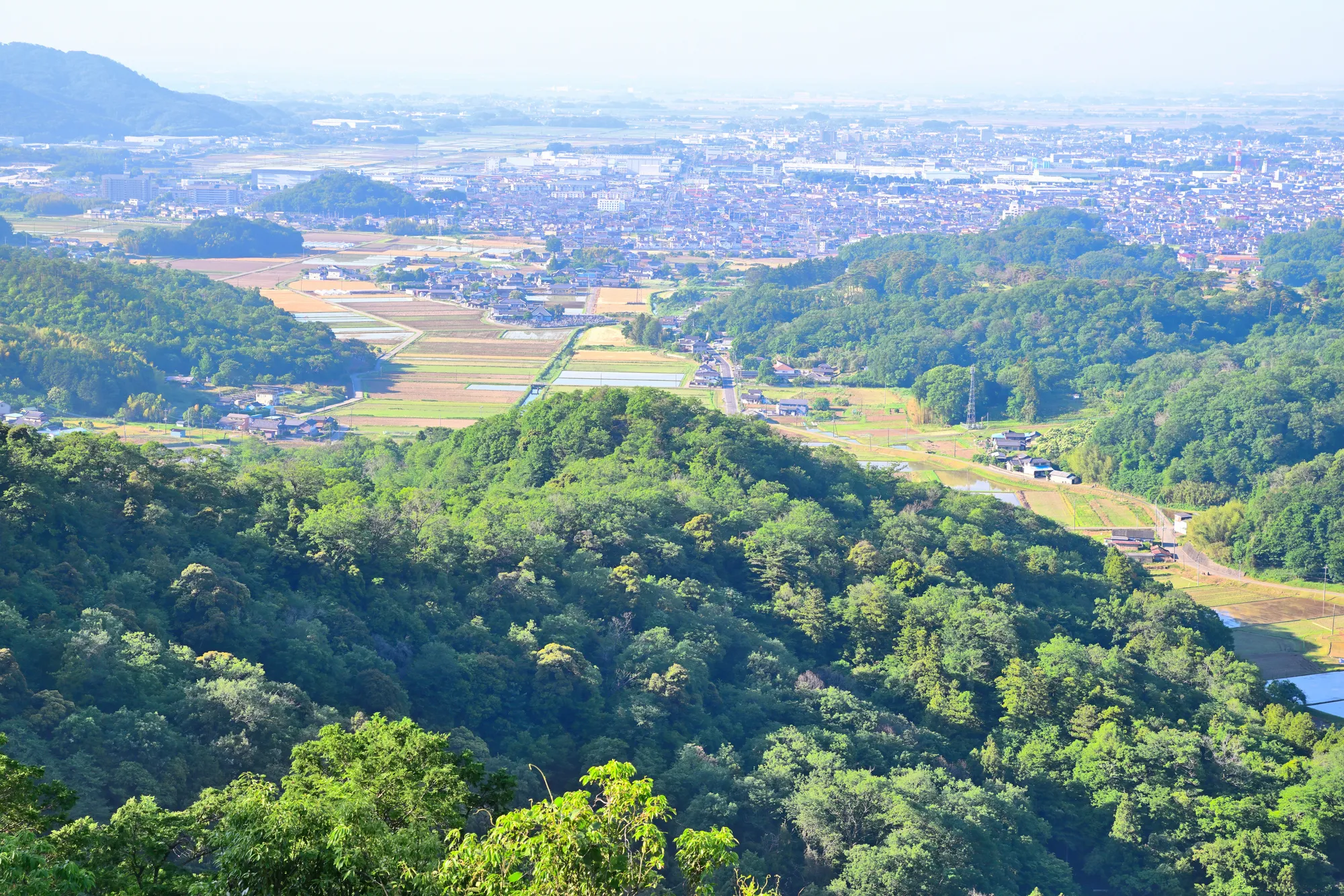 唐澤山城址から見る佐野市全景の画像