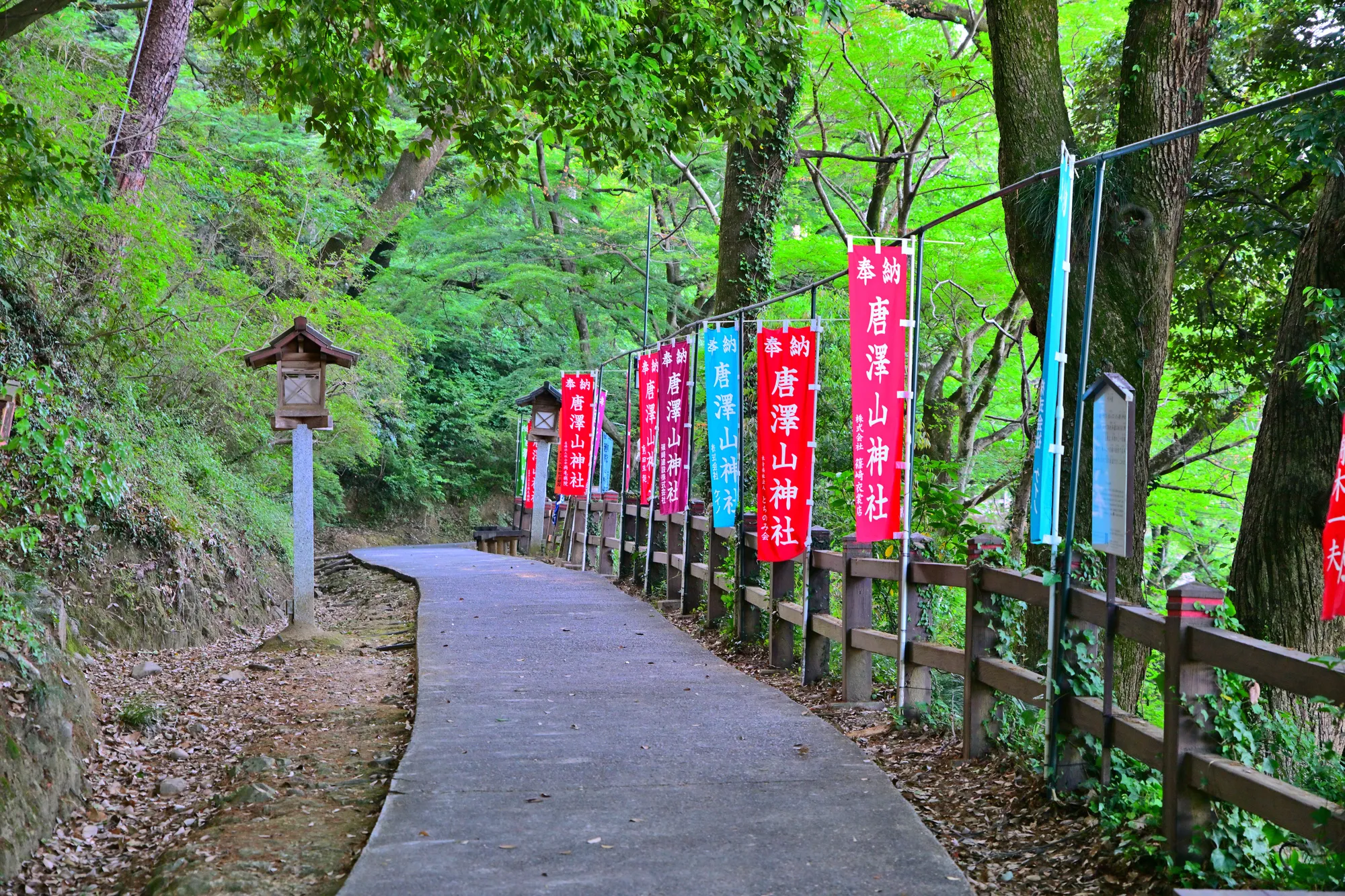 色とりどりの旗が並ぶ唐沢山神社参道の画像