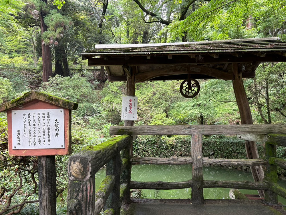 大炊井（おおいのい）の画像