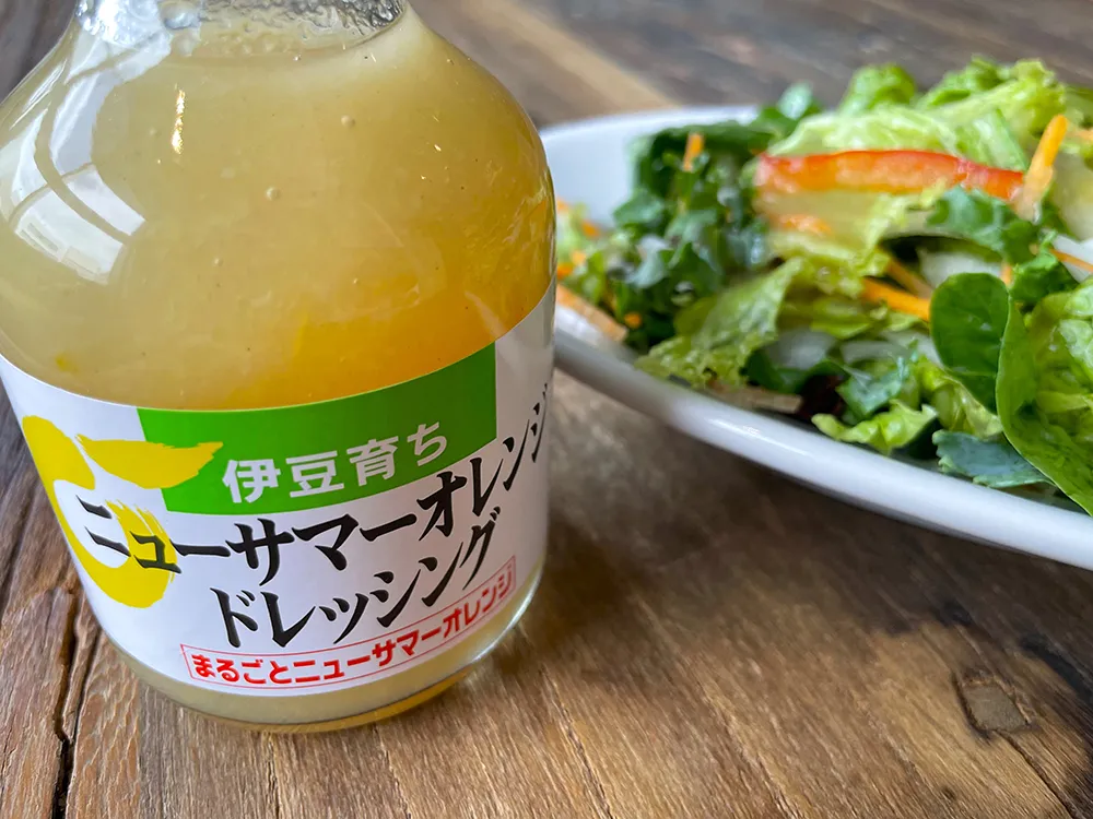 ニューサマーオレンジドレッシングとサラダ